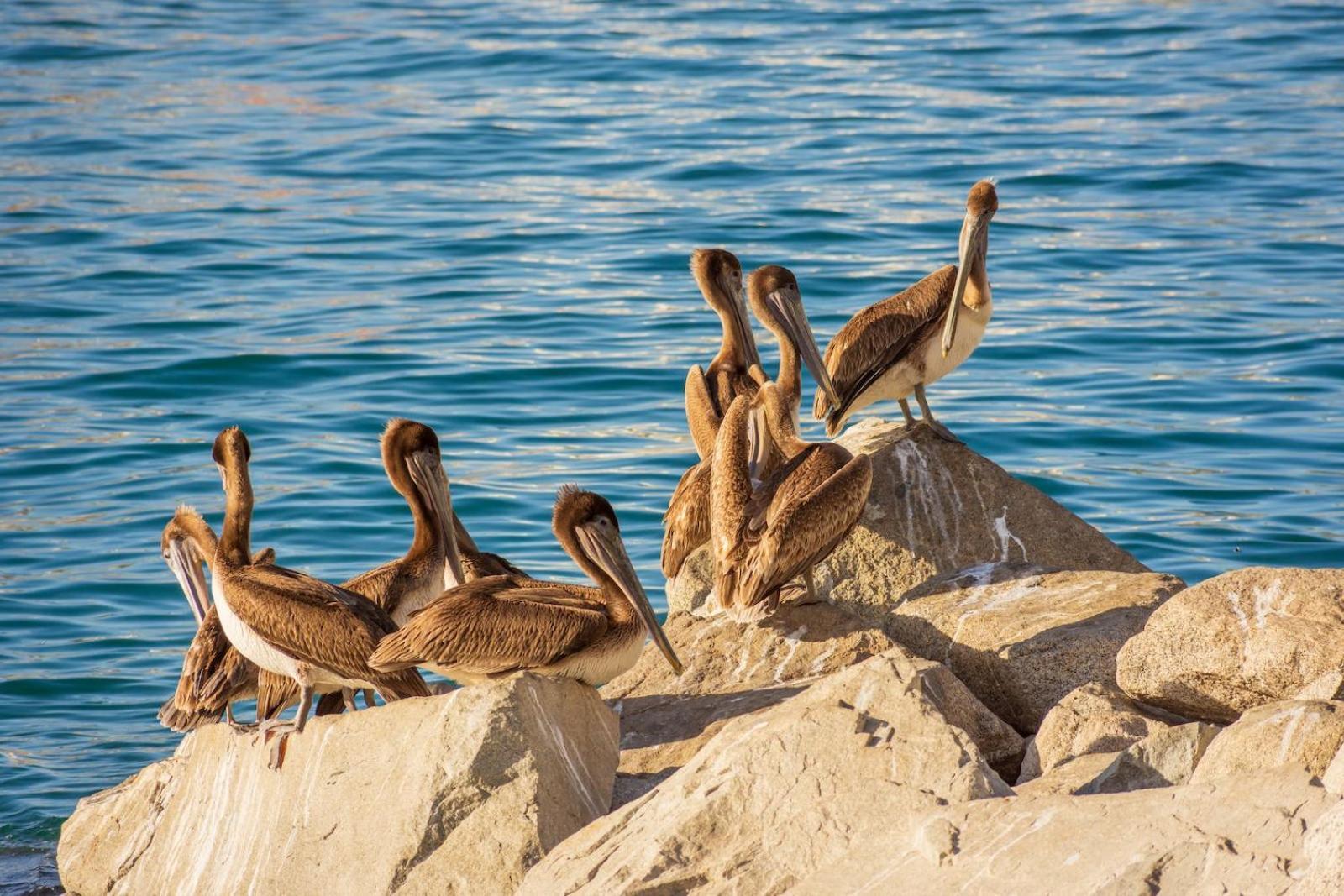 Morro Bay Beach Inn Bagian luar foto