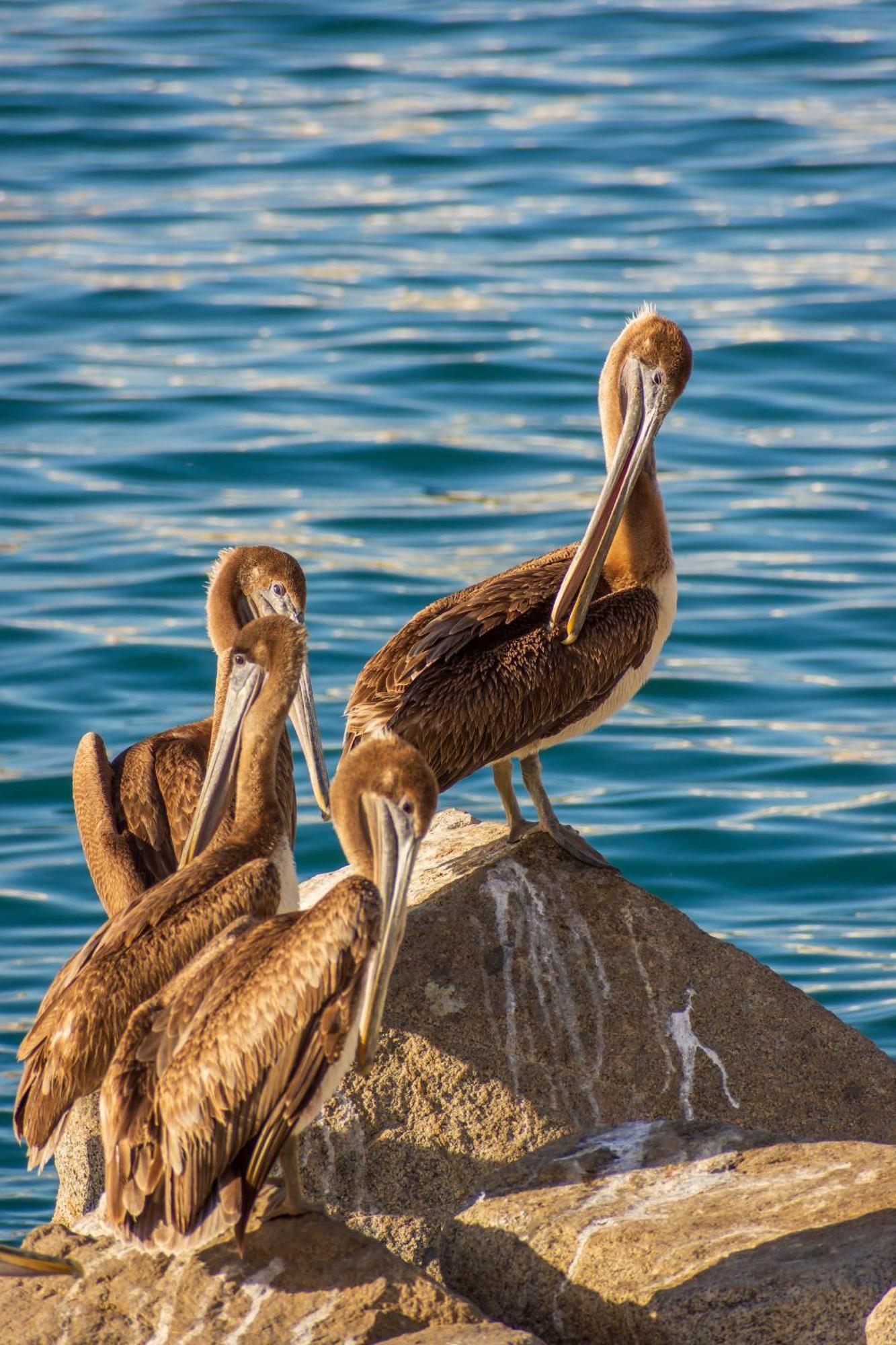 Morro Bay Beach Inn Bagian luar foto